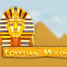 Egyptian Wilds